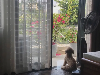 Nhà for Rent in Phan Tu Street, Ngũ Hành Sơn, ₫48,400,000 / mo, photo 1