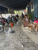 Mặt bằng thương mại for Rent in Mai Chí Thọ, Son Tra, ₫10,500,000 / mo, photo 1