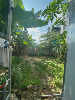 Nhà for Rent in Khánh An, near Phạm Như Xương, Sơn Trà, ₫6,500,000 / mo, photo 5