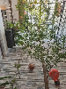 Nhà for Rent in Mân Thái, Sơn Trà, ₫27,500,000 / mo, photo 1