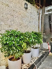 Nhà for Rent in Đỗ Huy Uyển Street, An Hải, Sơn Trà, ₫35,300,000 / mo, photo 3