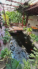Nhà for Rent in Non Nuoc Beach, Ngu Hanh Son, ₫14,400,000 / mo, photo 1