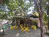 Mặt bằng thương mại for Rent in Hoa Xuan, Son Tra, ₫5,200,000 / mo, photo 1