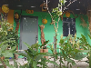 Nhà for Rent in Bãi Dài, Grand World, Phú Quốc, ₫2,600,000 / mo, photo 2