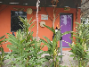 Nhà for Rent in Bãi Dài, Grand World, Phú Quốc, ₫2,600,000 / mo, photo 4