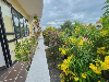 Căn hộ for Rent in Pagoda Bridge, Hội An, ₫5,200,000 / mo, photo 3