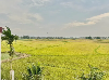 Nhà for Rent in An Mỹ, Cẩm Châu, Cẩm Châu, Hội An, ₫45,800,000 / mo, photo 2