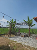 Nhà for Rent in An Bang Beach, Bãi An Bằng, Hội An, ₫15,700,000 / mo, photo 2