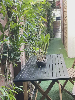 Nhà for Rent in Tan Thanh Beach, Bãi Tân Thành, Hội An, ₫17,000,000 / mo, photo 4