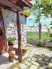 Nhà for Rent in An Bang Beach, Bãi An Bằng, Hội An, ₫15,700,000 / mo, photo 3