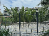 Căn hộ for Rent in An Bang Beach, Hội An, ₫9,200,000 / mo, photo 1