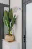 Căn hộ for Rent in Thảo Điền, Thủ Đức, ₫10,500,000 / mo, photo 5